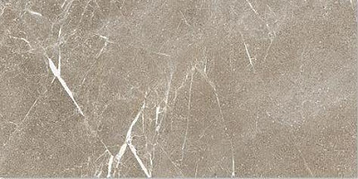 Керамогранит STAR GREIGE RETT. (60x120) ST120GG
