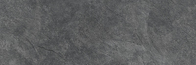 Плитка настенная Grafito Dark (24.6x74) WT15GRF07R