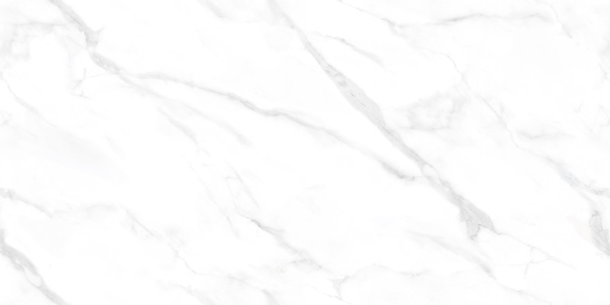 Керамогранит 2550 Statuario Endless NTT99506P (600x1200) NTT99506P