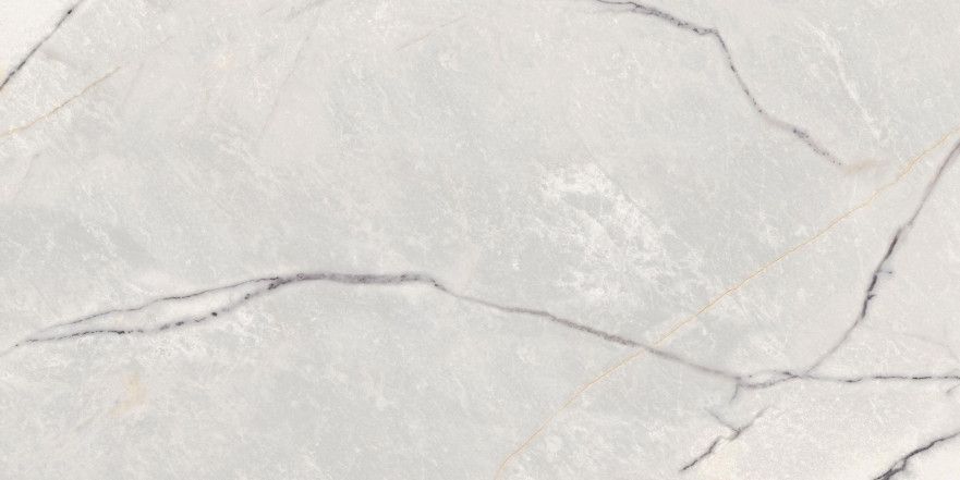 Керамогранит 0009023 Supreme Treasure Greylac Platinum Lux Ret (60x120) 0009023