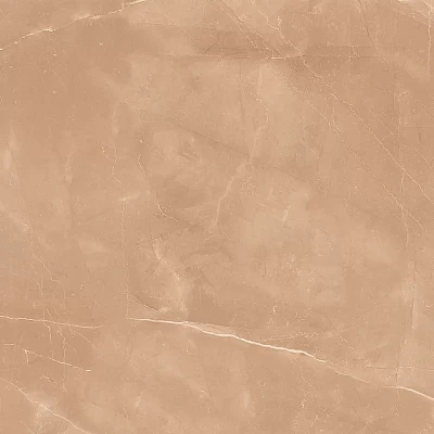 Armani Camel 60x60 Satin