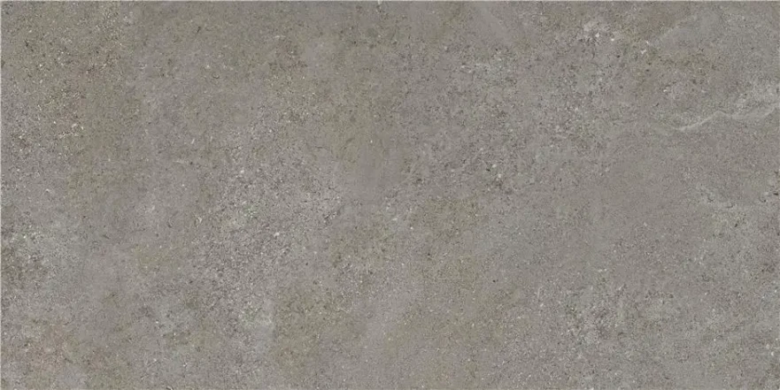Керамогранит Arenite Dark Grey Mt (60x120) CAN5AREIDD5A