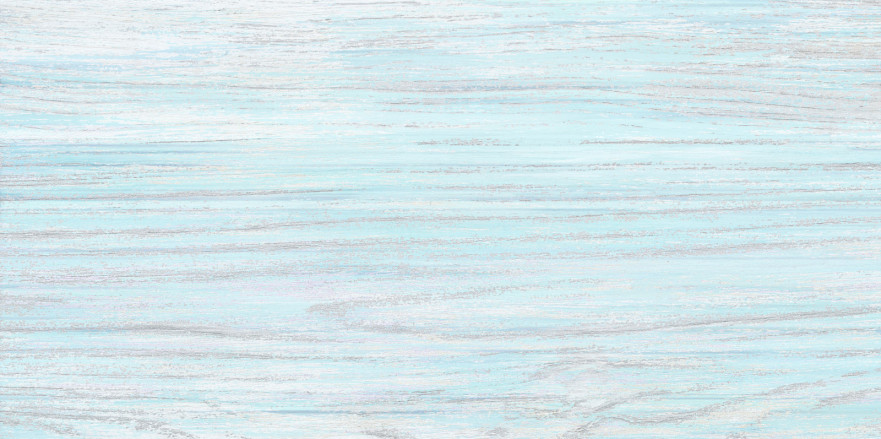 Плитка настенная North (24.9x50) TWU09NRT606 TWU09NRT606
