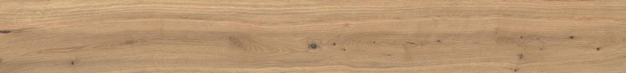 Log Icon Oak Forest 20x180 AX5U AX5U