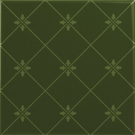 Керамическая плитка DELIS VERDE BOTELLA (20x20) S002055