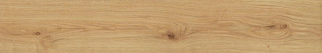 Керамогранит Exence Almond (20x120) AO48