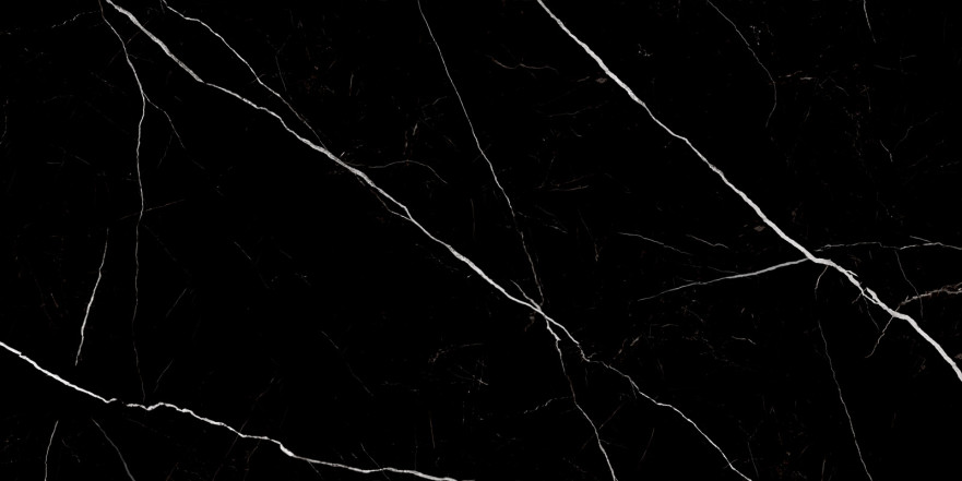 Керамогранит Twinstone Black 60120TWN99HG (60x120) 60120TWN99HG