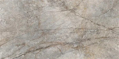 Керамогранит Rain Forest Natural Pulido (59x119) Rect. CAS1RAIFQPHA