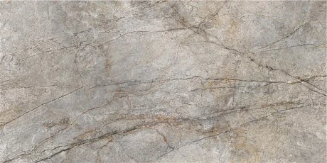 Керамогранит Rain Forest Natural Pulido (59x119) Rect. CAS1RAIFQPHA