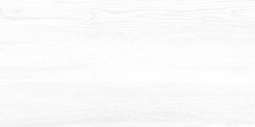 Плитка настенная Briole White (24.9x50) WT9BRE00 WT9BRE00