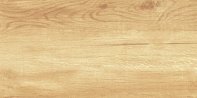 Плитка настенная Paradise Wood (25x50) WT9OAS31