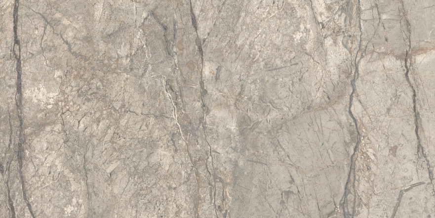 Керамогранит Anima Futura Amazing Silver Matt (60х120)