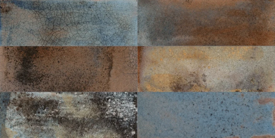 Fs Raku Colors