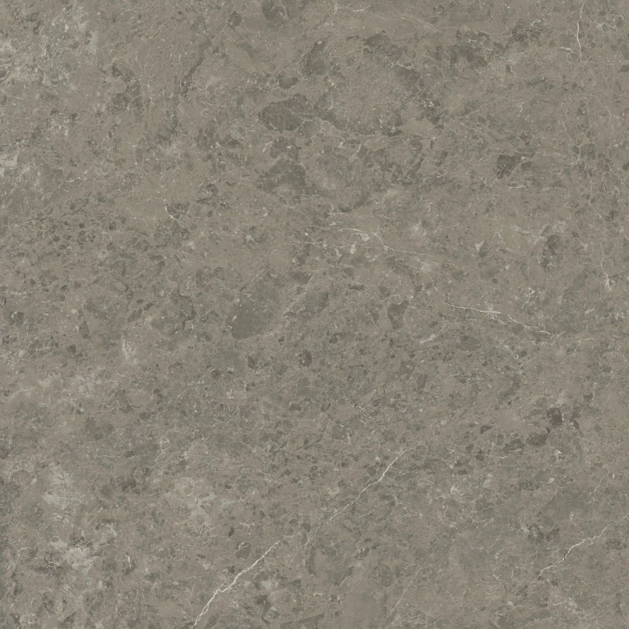 Керамогранит Marvel Meraviglia Grigio Elegante Velvet AJIL (120x120) AJIL AJIL