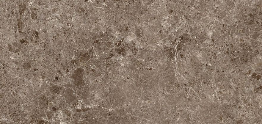 Керамогранит Coverlam Artic Moka Pulido (120х260), 5.6mm 78RC27P (60-65)