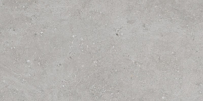 Керамогранит Flax Grey Matt (60x120) N30055