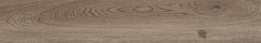 Керамогранит Poetry wood Oak nat r (20x120) PF60010060 PF60010060