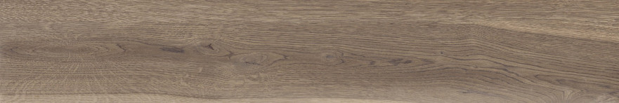 Керамогранит Poetry wood Oak nat r (20x120) PF60010060 PF60010060