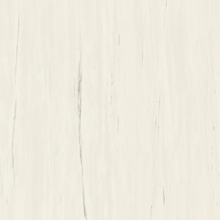 Керамогранит Marvel Bianco Dolomite 120x120 A204