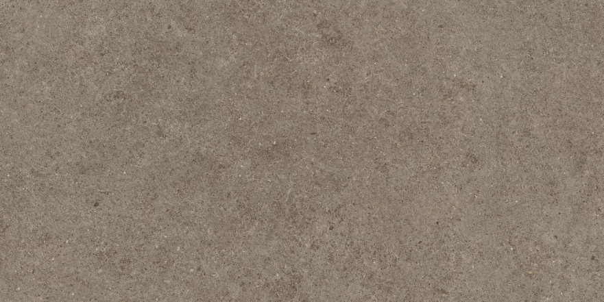 Boost Stone Taupe 60x120 A6Q6 A6Q6