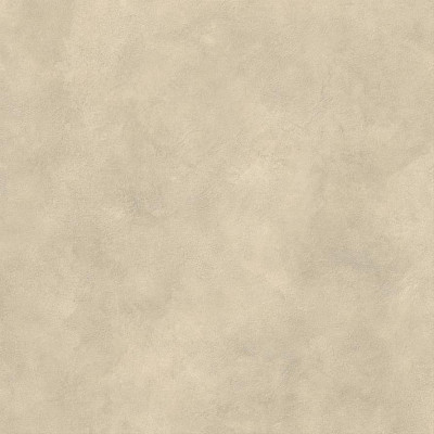 Boost Expression Tan 120x120 AYUA