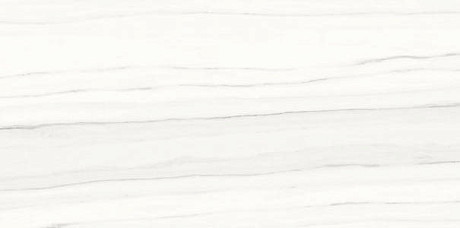 Керамогранит Marmi Classici ZEBRINO BIANCO Soft (60х120) P612517