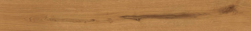 Exence Amber 18,5x150 AL88 AL88