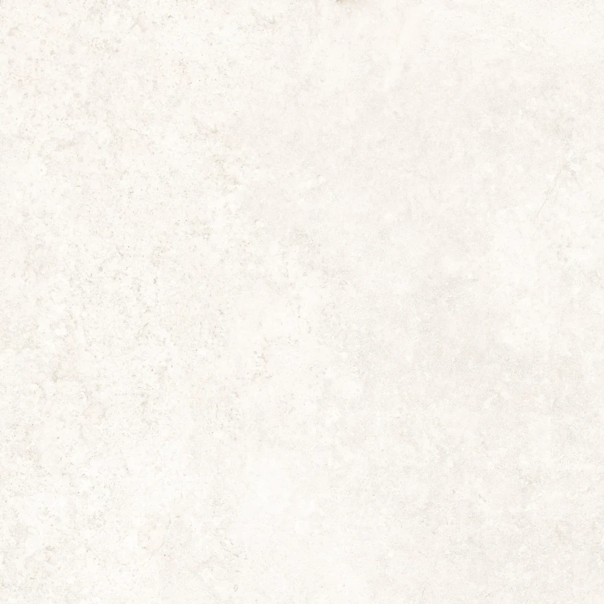 Ground Bone La (60x60)