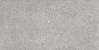 Grey Lapp (60x120) 572