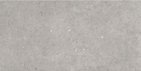 Grey Lapp (60x120) 572