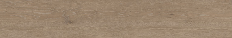 Керамогранит CW03 (19,4x120x10) непол. рект. CW 03 CW 03