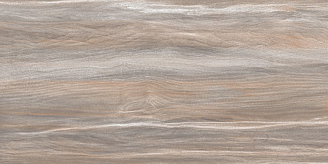 Плитка настенная Esprit Wood (25x50) WT9ESR21
