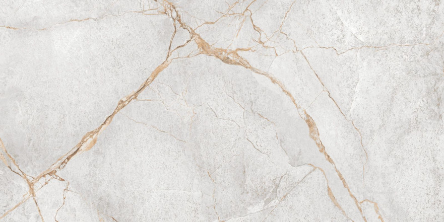 Керамогранит Special Marmo Gray (60x120) 60120PEC15P 60120PEC15P