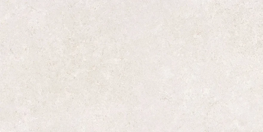 Керамогранит Sandstone Белый Матовый R10a 60x120 K948597R0001VTER