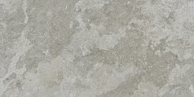 Viken Grey (60x120)