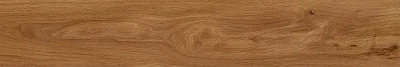 Керамогранит Forest Amber (19,4х120) непол. FR01