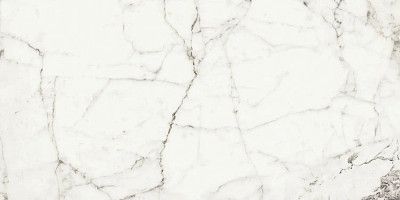 Керамогранит Rhapsody White fun levigato rettificato 117430 (60x120)