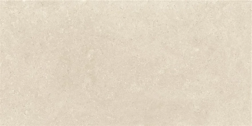 Керамогранит Leiria Natural Mt (60x120) Rect. CAN5LEIIQDHA CAN5LEIIQDHA