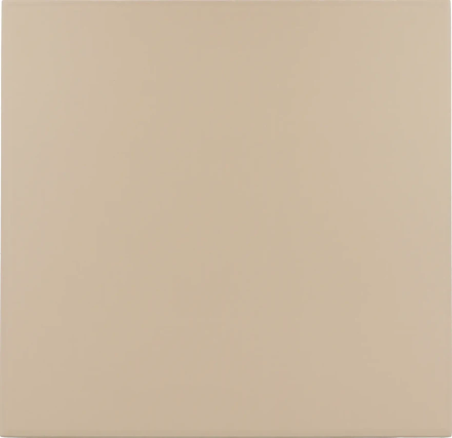 Керамогранит Rivoli Beige 20x20x0,83 30719