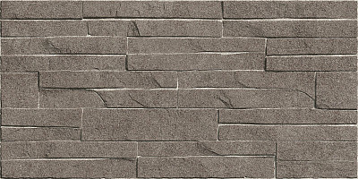 Плитка настенная Discover (24.9x50) TWU2550DCV24