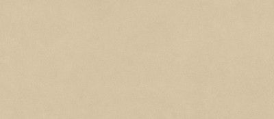 Boost Natural Pro Sand 120x278 - 6mm AQ9G