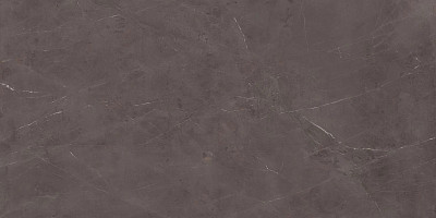 Керамогранит Precious Brown Silk (160x320) AKGB