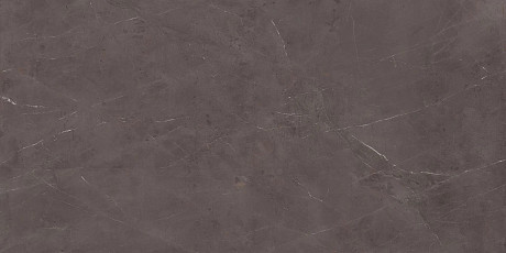 Керамогранит Precious Brown Silk (160x320) AKGB