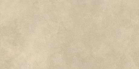 Boost Expression Tan 60x120 AYUZ
