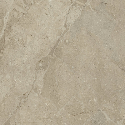 Керамогранит ELEGANCE NATURALNPLUS (75x75) FL58493