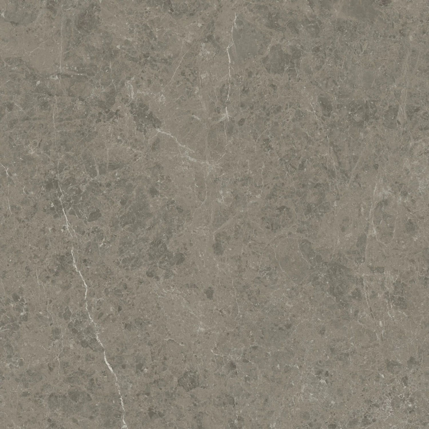 Керамогранит Marvel Meraviglia Grigio Elegante Velvet AJIL (120x120) AJIL AJIL
