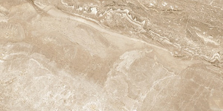 Керамогранит Pav. Fontana lux brown (60x120) 917381