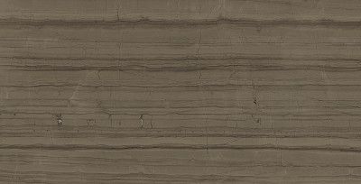 Керамогранит Charme Advance Elegant Brown (80x160)Lux 610015000592