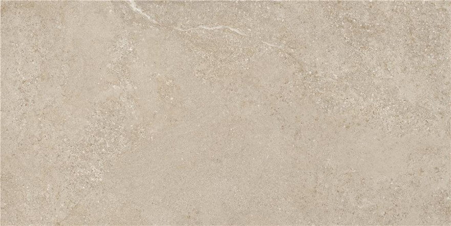 Керамогранит Arenite Natural Matt. (59.5x120) N30102 N30102