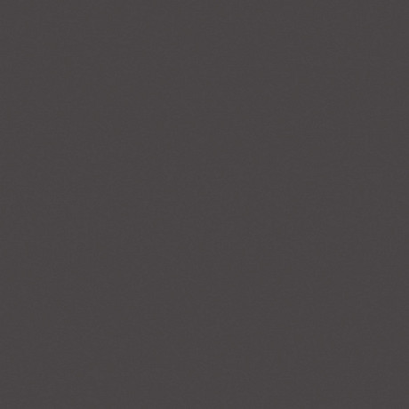 Керамогранит RW034x11 непол. рект. (80x80)